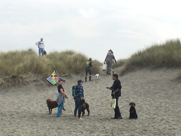 Coastal Cleanup 2017 - Friends of the DUNES