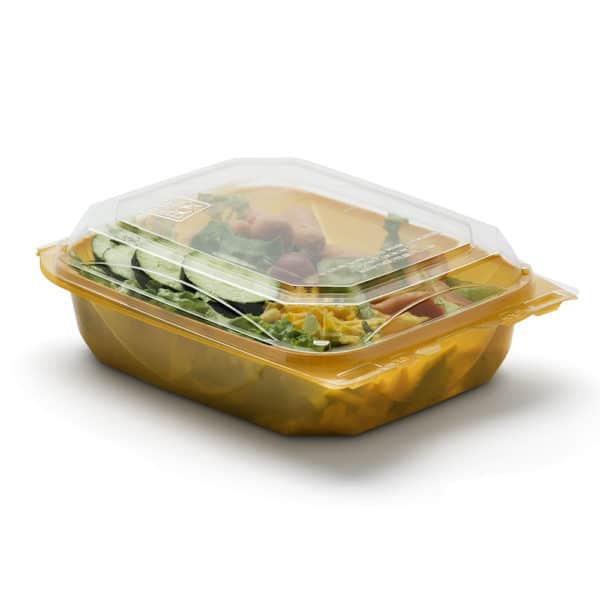 6x8 BOTTLEBOX Tangerine 3-4 Hinged with Fresh Salad - Healthier School Lunch